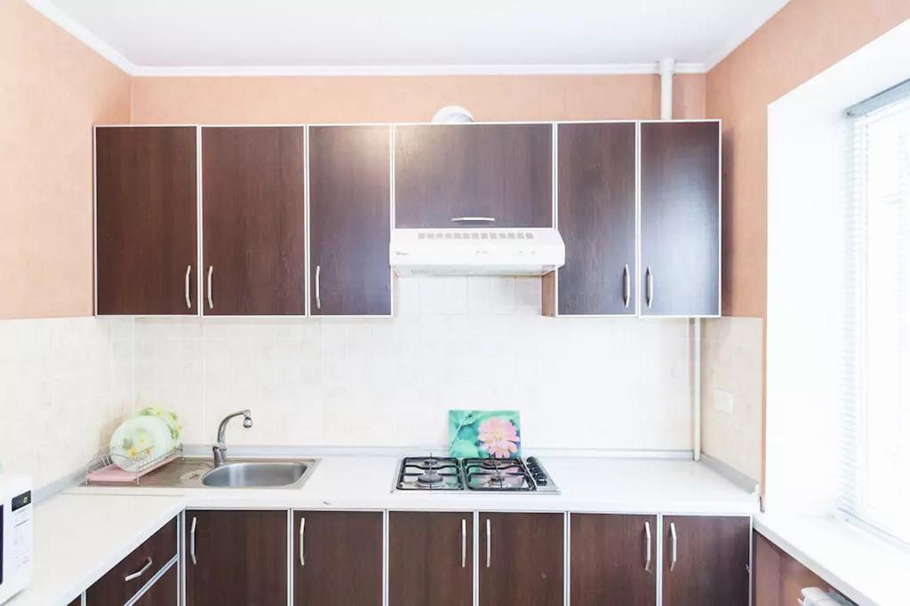 Apartment In Zaporozhye. Antica Zaporizhia ภายนอก รูปภาพ